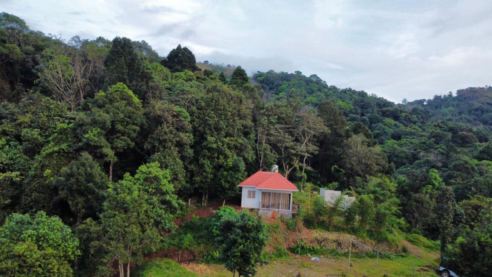 Misty Hideout Bed & Breakfast Kakkadampoyil Dış mekan fotoğraf