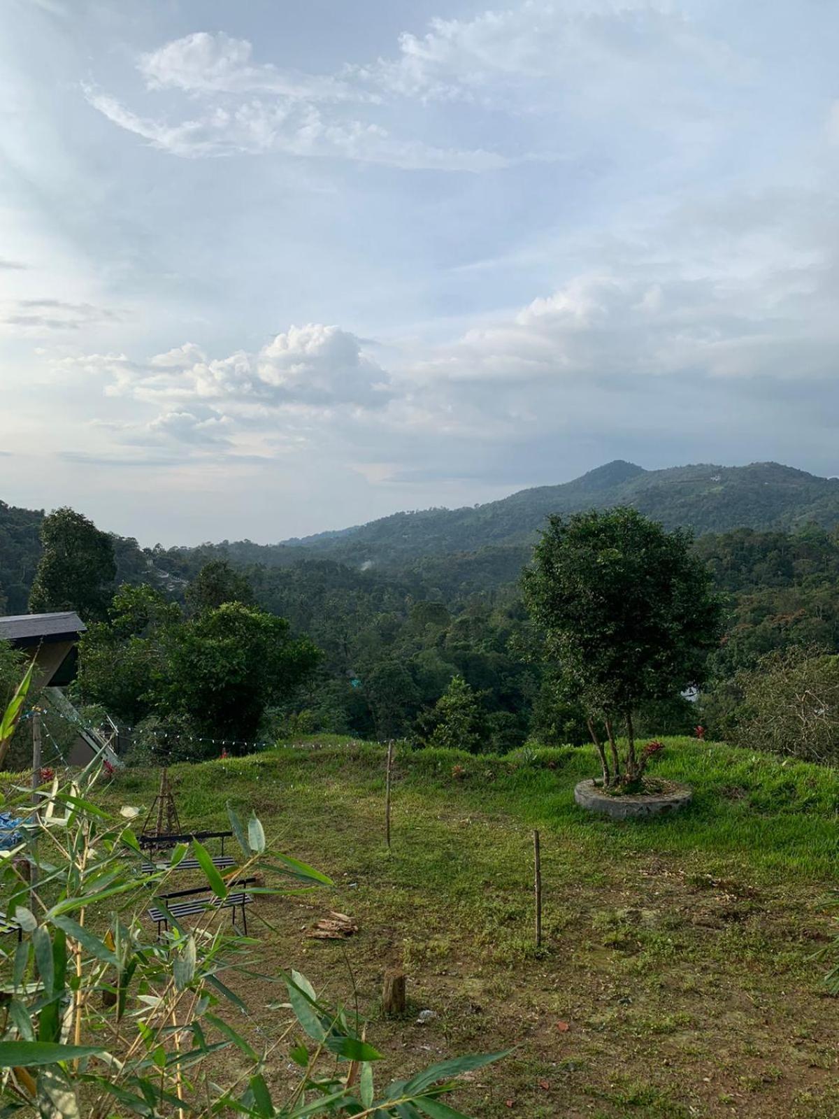 Misty Hideout Bed & Breakfast Kakkadampoyil Dış mekan fotoğraf