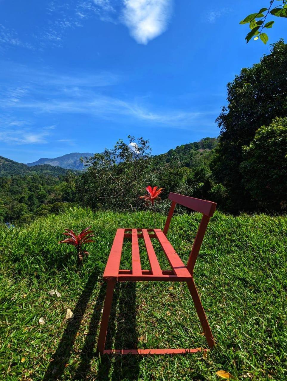 Misty Hideout Bed & Breakfast Kakkadampoyil Dış mekan fotoğraf